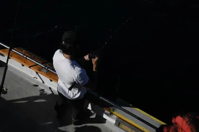 DSC_6674 (Large).JPG